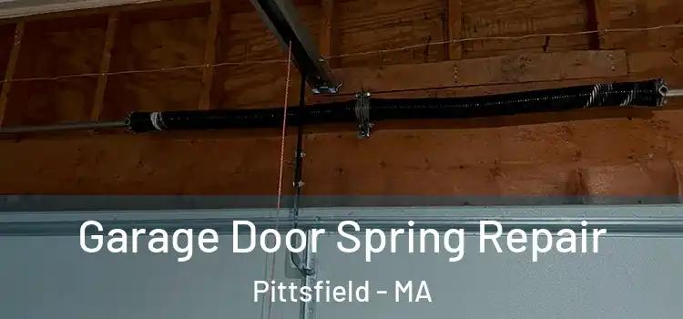  Garage Door Spring Repair Pittsfield - MA