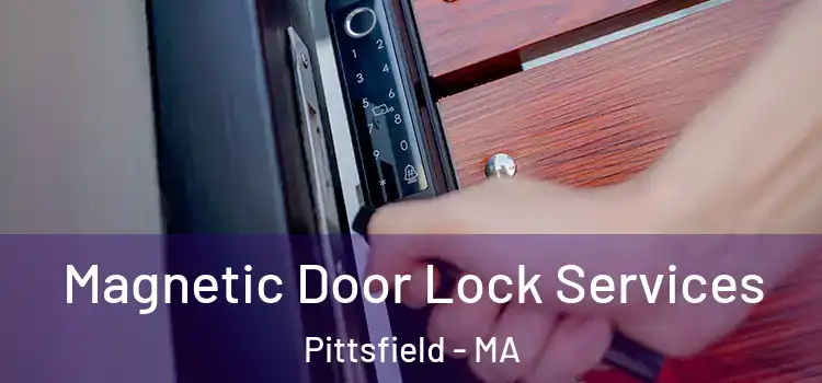 Magnetic Door Lock Services Pittsfield - MA